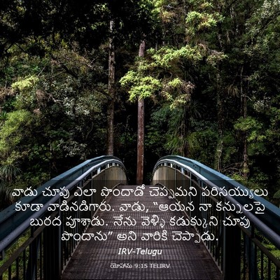 Picture 03 - యోహాను 9:15 TELIRV - వాడు చూపు ఎలా - Bible Verse Picture