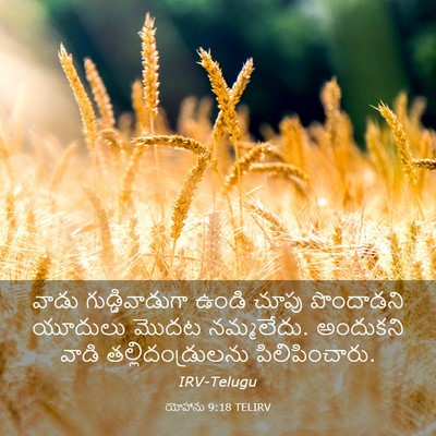 Picture 03 - యోహాను 9:18 TELIRV - వాడు గుడ్డివాడుగా - Bible Verse Picture