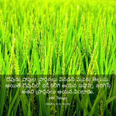 Picture 03 - యోహాను 9:31 TELIRV - దేవుడు పాపుల - Bible Verse Picture