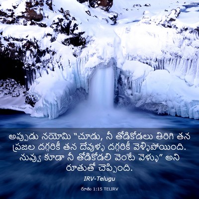 Picture 03 - రూతు 1:15 TELIRV - అప్పుడు నయోమి - Bible Verse Picture