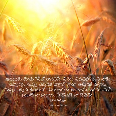 Picture 03 - రూతు 1:16 TELIRV - అందుకు రూతు “నీతో - Bible Verse Picture