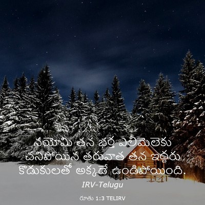 Picture 03 - రూతు 1:3 TELIRV - నయోమి తన భర్త - Bible Verse Picture