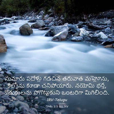 Picture 03 - రూతు 1:5 TELIRV - సుమారు పదేళ్లు - Bible Verse Picture