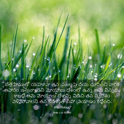 Picture 03 - రూతు 1:6 TELIRV - బేత్లెహేములో - Bible Verse Picture