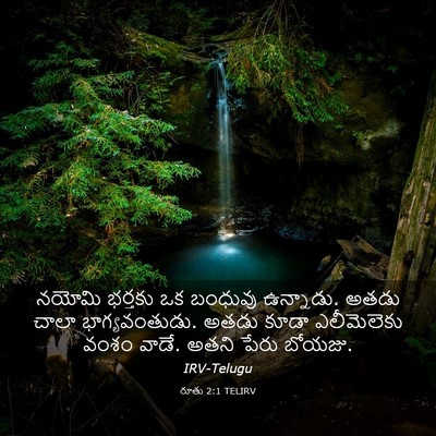 Picture 03 - రూతు 2:1 TELIRV - నయోమి భర్తకు ఒక - Bible Verse Picture