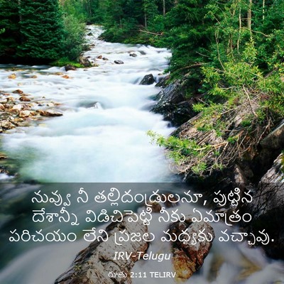 Picture 03 - రూతు 2:11 TELIRV - నువ్వు నీ - Bible Verse Picture