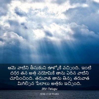 Picture 03 - రూతు 2:18 TELIRV - ఆమె వాటిని - Bible Verse Picture