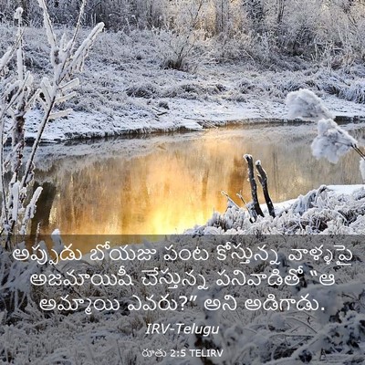 Picture 03 - రూతు 2:5 TELIRV - అప్పుడు బోయజు పంట - Bible Verse Picture