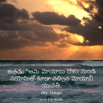 Picture 03 - రూతు 2:6 TELIRV - అతడు “ఆమె మోయాబు - Bible Verse Picture