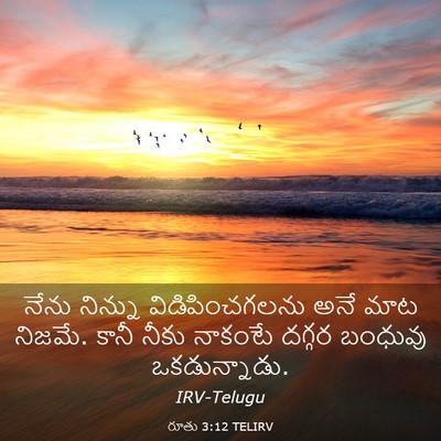 Picture 03 - రూతు 3:12 TELIRV - నేను నిన్ను - Bible Verse Picture
