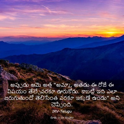Picture 03 - రూతు 3:18 TELIRV - అప్పుడు ఆమె అత్త - Bible Verse Picture