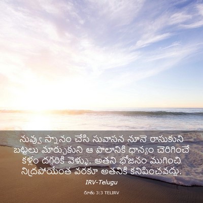 Picture 03 - రూతు 3:3 TELIRV - నువ్వు స్నానం - Bible Verse Picture