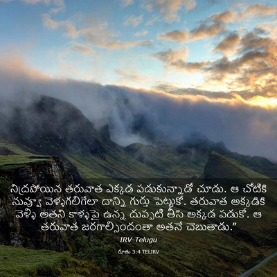 Picture 03 - రూతు 3:4 TELIRV - నిద్రపోయిన తరువాత - Bible Verse Picture
