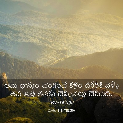 Picture 03 - రూతు 3:6 TELIRV - ఆమె ధాన్యం - Bible Verse Picture