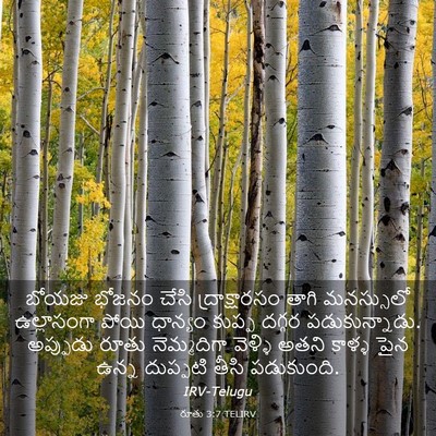Picture 03 - రూతు 3:7 TELIRV - బోయజు భోజనం చేసి - Bible Verse Picture