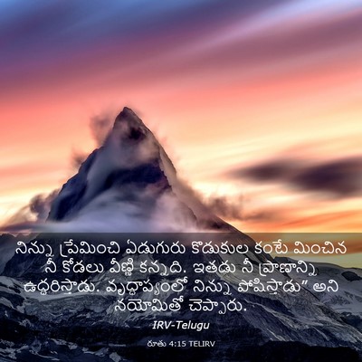 Picture 03 - రూతు 4:15 TELIRV - నిన్ను ప్రేమించి - Bible Verse Picture