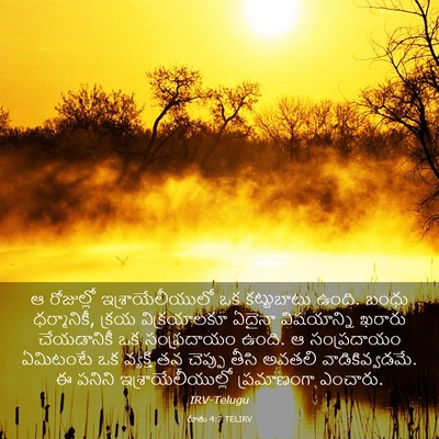 Picture 03 - రూతు 4:7 TELIRV - ఆ రోజుల్లో - Bible Verse Picture