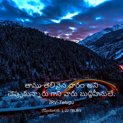 Picture 03 - రోమీయులకు 1:22 TELIRV - తాము తెలివైన వారం - Bible Verse Picture