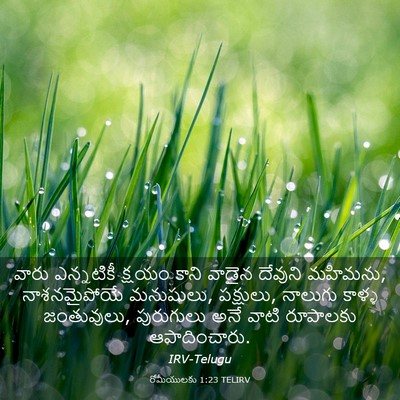 Picture 03 - రోమీయులకు 1:23 TELIRV - వారు ఎన్నటికీ - Bible Verse Picture