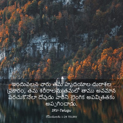 Picture 03 - రోమీయులకు 1:24 TELIRV - ఇందువలన వారు తమ - Bible Verse Picture