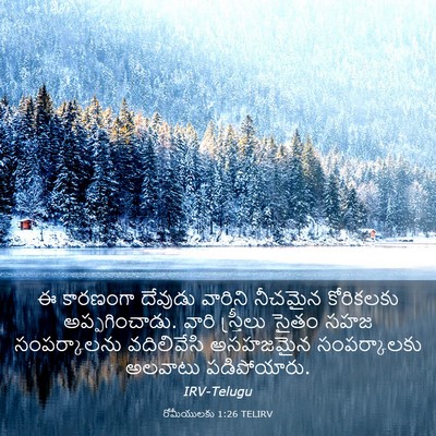 Picture 03 - రోమీయులకు 1:26 TELIRV - ఈ కారణంగా దేవుడు - Bible Verse Picture