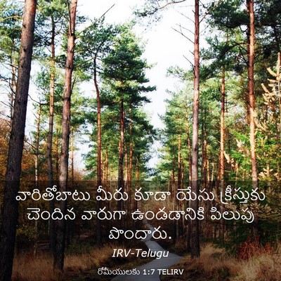 Picture 03 - రోమీయులకు 1:7 TELIRV - వారితోబాటు మీరు - Bible Verse Picture