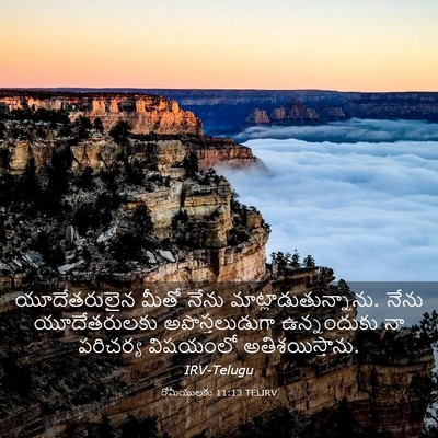 Picture 03 - రోమీయులకు 11:13 TELIRV - యూదేతరులైన మీతో - Bible Verse Picture