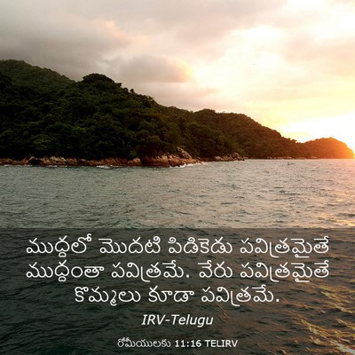 Picture 03 - రోమీయులకు 11:16 TELIRV - ముద్దలో మొదటి - Bible Verse Picture