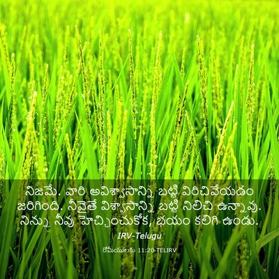 Picture 03 - రోమీయులకు 11:20 TELIRV - నిజమే. వారి - Bible Verse Picture
