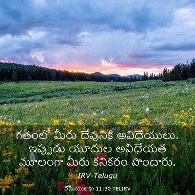 Picture 03 - రోమీయులకు 11:30 TELIRV - గతంలో మీరు - Bible Verse Picture