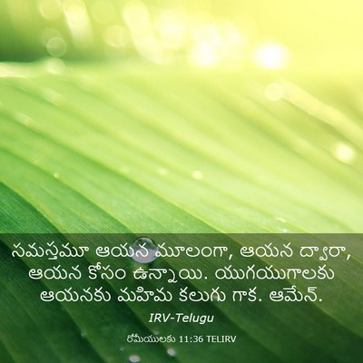 Picture 03 - రోమీయులకు 11:36 TELIRV - సమస్తమూ ఆయన - Bible Verse Picture