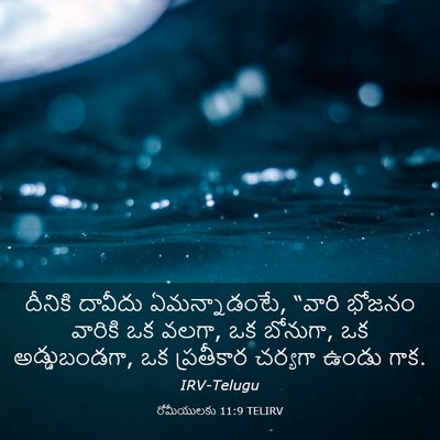 Picture 03 - రోమీయులకు 11:9 TELIRV - దీనికి దావీదు - Bible Verse Picture