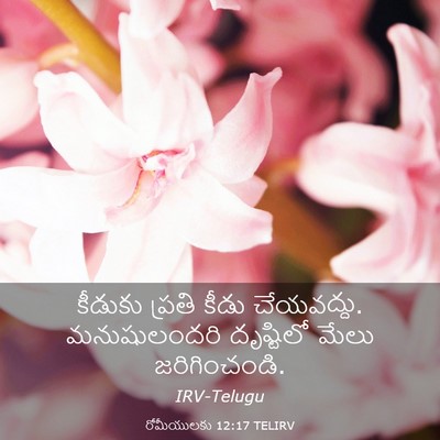 Picture 03 - రోమీయులకు 12:17 TELIRV - కీడుకు ప్రతి కీడు - Bible Verse Picture