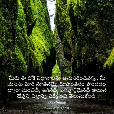 Picture 03 - రోమీయులకు 12:2 TELIRV - మీరు ఈ లోక - Bible Verse Picture