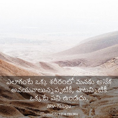 Picture 03 - రోమీయులకు 12:4 TELIRV - ఎలాగంటే ఒక్క - Bible Verse Picture