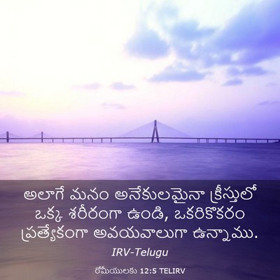 Picture 03 - రోమీయులకు 12:5 TELIRV - అలాగే మనం - Bible Verse Picture