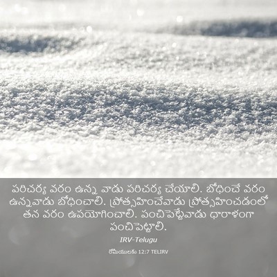 Picture 03 - రోమీయులకు 12:7 TELIRV - పరిచర్య వరం ఉన్న - Bible Verse Picture