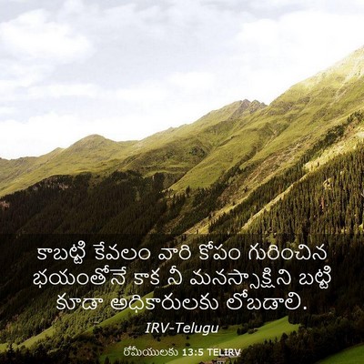 Picture 03 - రోమీయులకు 13:5 TELIRV - కాబట్టి కేవలం - Bible Verse Picture