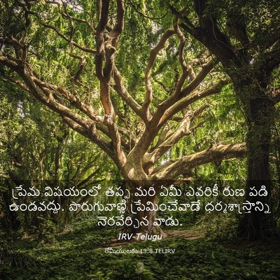 Picture 03 - రోమీయులకు 13:8 TELIRV - ప్రేమ విషయంలో - Bible Verse Picture