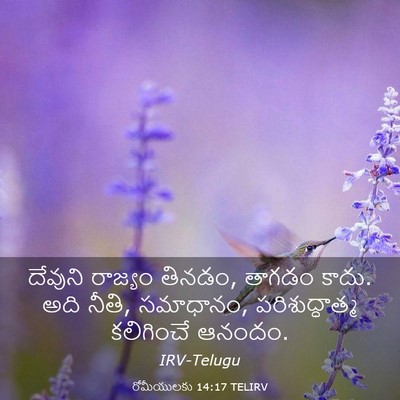 Picture 03 - రోమీయులకు 14:17 TELIRV - దేవుని రాజ్యం - Bible Verse Picture