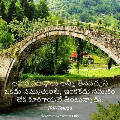Picture 03 - రోమీయులకు 14:2 TELIRV - ఆహార పదార్ధాలు - Bible Verse Picture