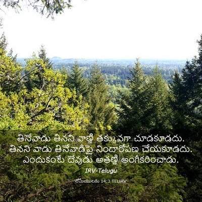 Picture 03 - రోమీయులకు 14:3 TELIRV - తినేవాడు తినని - Bible Verse Picture