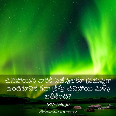 Picture 03 - రోమీయులకు 14:9 TELIRV - చనిపోయిన వారికీ - Bible Verse Picture