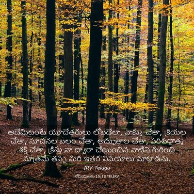 Picture 03 - రోమీయులకు 15:18 TELIRV - అదేమిటంటే - Bible Verse Picture