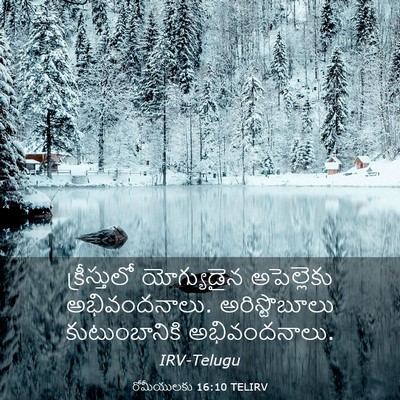 Picture 03 - రోమీయులకు 16:10 TELIRV - క్రీస్తులో - Bible Verse Picture
