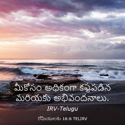 Picture 03 - రోమీయులకు 16:6 TELIRV - మీకోసం అధికంగా - Bible Verse Picture