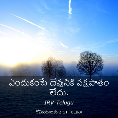 Picture 03 - రోమీయులకు 2:11 TELIRV - ఎందుకంటే దేవునికి - Bible Verse Picture