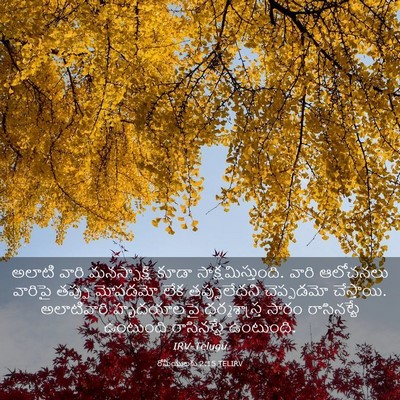 Picture 03 - రోమీయులకు 2:15 TELIRV - అలాటి వారి - Bible Verse Picture