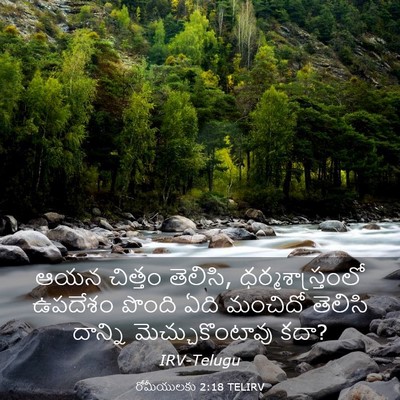 Picture 03 - రోమీయులకు 2:18 TELIRV - ఆయన చిత్తం తెలిసి, - Bible Verse Picture