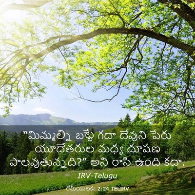 Picture 03 - రోమీయులకు 2:24 TELIRV - “మిమ్మల్ని బట్టే - Bible Verse Picture